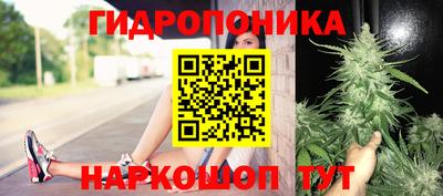 ГАЛЛЮЦИНОГЕННЫЕ ГРИБЫ Сланцы