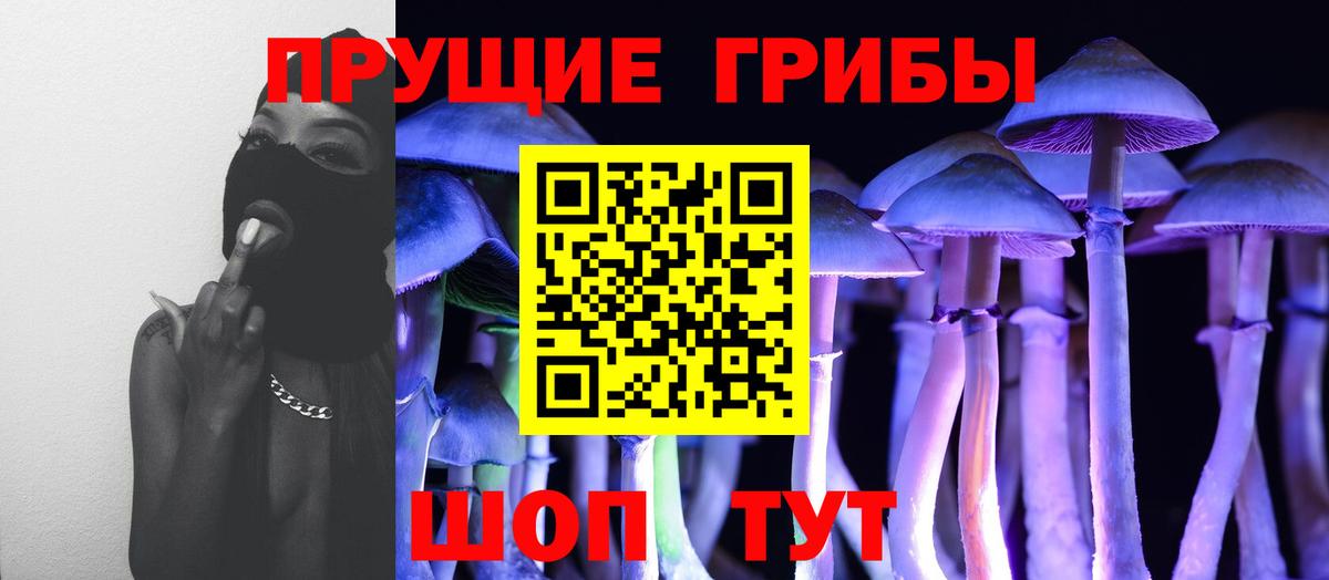 Псилоцибиновые грибы Magic Shrooms Новокубанск