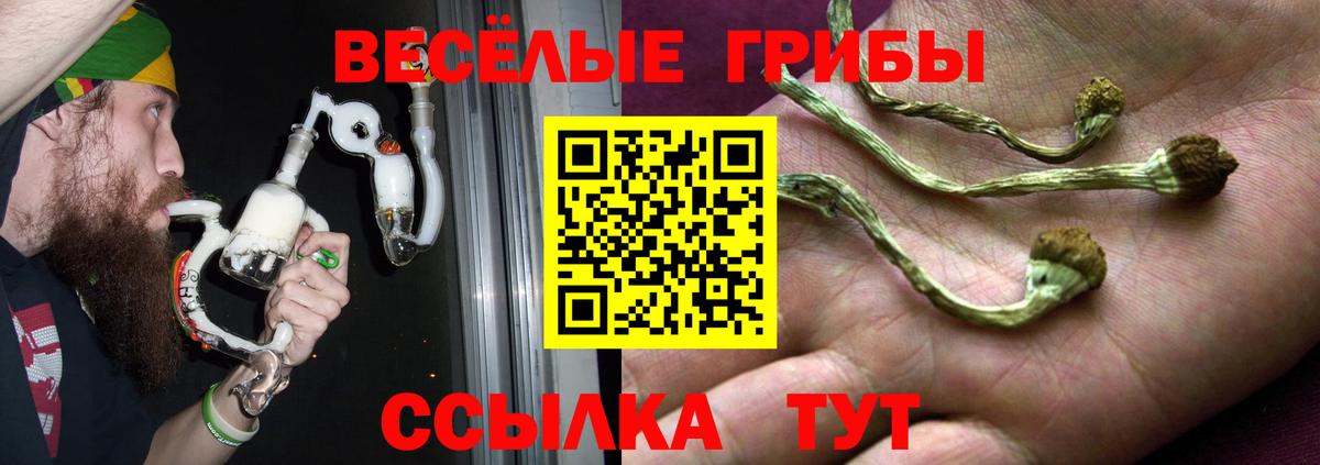 Новокубанск  Псилоцибиновые грибы GOLDEN TEACHER  Вход с VPN  закладка  Псилоцибиновые грибы Psilocybe 